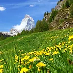 Appartement Vitalis By Interhome Zermatt